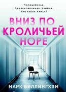 Вниз по кроличьей норе