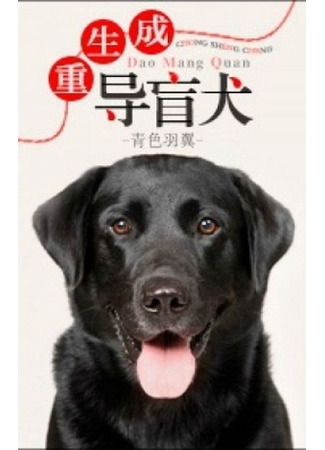 книга Собака-поводырь (The Seeing Eye Dog: 重生成导盲犬) 28.02.22
