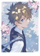 Сколько бы голубь не красовался, он никогда не будет киви...