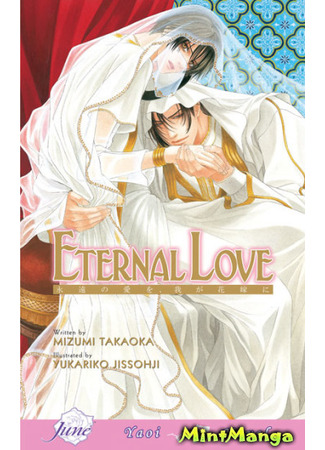 книга Любовь, неподвластная времени (Eternal Love: Eien no Ai wo, Waga Hanayome ni) 30.03.22