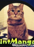 Курумадзаки Маю (KURUMAZAKI Mayu)