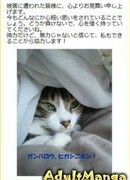 Кадзуми Маки (KAZUMI Maki)