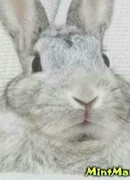 Таро Юя (Taro Yuya)