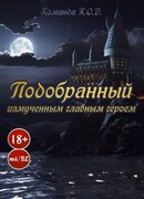 Подобранный измученным главным героем