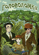 Головоломка