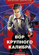 Вор крупного калибра