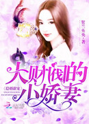 Скрытый брак сладкого баловства: маленькая жена конгломерата