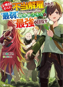 Меня несправедливо уволили из гильдии целителей, в которой я проработал 5 лет, как самого слабого. Поэтому я стану самым сильным с невероятными навыками.