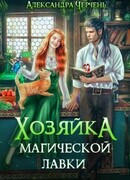 Хозяйка магической лавки