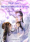 Мой сын - переселившийся принц