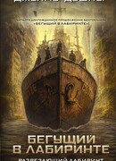 Разрезающий лабиринт