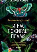 И нас пожирает пламя