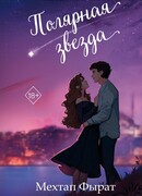 Полярная звезда