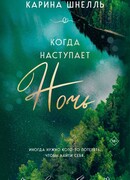 Когда наступает ночь