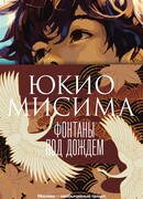 Фонтаны под дождем