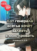 Кот генерала всегда хочет залезть в мою кровать