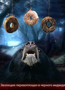 Эволюция: перевоплощен в черного медведя