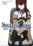 Врата Штейна