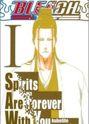 Блич: Духи всегда с тобой