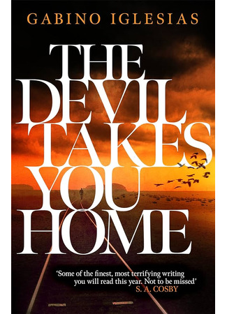 книга Домой приведет тебя дьявол (The Devil Takes You Home) 01.03.24