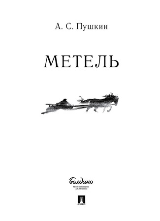 книга Метель 12.07.24