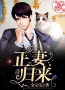 Возвращение жены