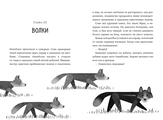 Спасение дикого робота