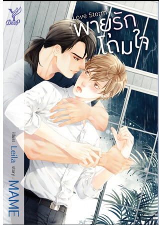 книга Шторм любви (Love Storm: พายุรักโถมใจ #พี่พายุขยี้น้องเรน) 22.11.24