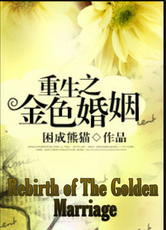 книга Возрождение золотого брака (Rebirth of The Golden Marriage: 重生之金色婚姻) 22.11.24