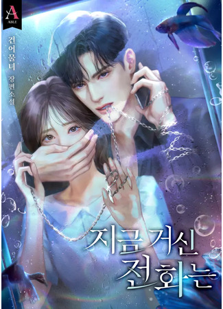 книга Номер, который вы набрали (When the phone rings: 지금 거신 전화는) 01.12.24