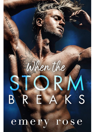 книга Когда грянет шторм (When the Storm Breaks) 27.02.25