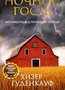 Ночной гость