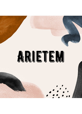 Переводчик Arietem 19.05.25