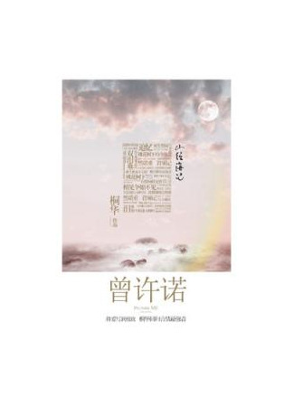 книга Одинокое обещание (Once Promised: 曾许诺) 19.05.25