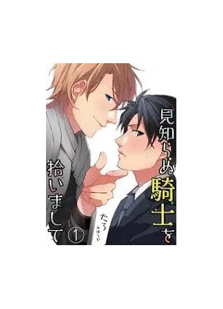 книга Я подружился со странным рыцарем (Picked up a Strange Knight: Mishiranu Kishi Wo Hiroimashite) 11.06.25