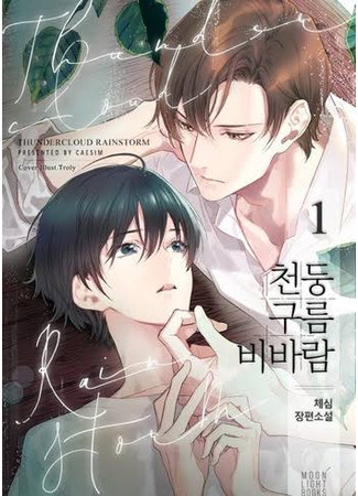 книга Дождь с грозой (Thundercloud Rainstorm: 천둥구름 비바람) 25.06.25