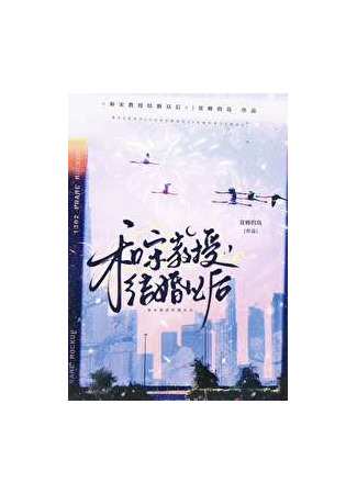 книга После того, как вышел замуж за профессора Сун (After Marrying Professor Song: 和宋教授結婚以後) 03.08.25