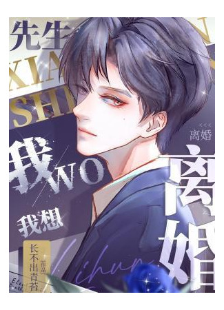 книга Мистер, я хочу развестись (Mister, I Want a Divorce: 先生，我想离婚) 03.08.25
