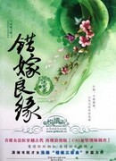 Брак по ошибке: Запись о смытой несправедливости.