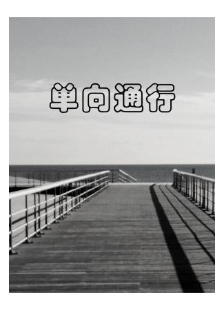 книга Одностороннее движение (One-way Passage: 单向通行) 31.08.25
