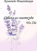 Собака из ниоткуда