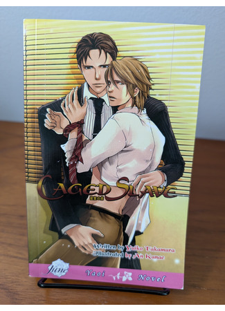 книга Раб в клетке (Prisoner of the Hidden Room: Caged Slave) 05.09.25