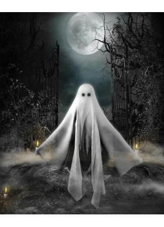 книга Призрачный брак (Ghost Marriage: 阴亲) 14.09.25