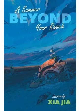 книга Далекое лето (A Summer Beyond Your Reach: 遥远的夏天) 03.12.25