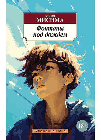 книга Фонтаны под дождем 03.12.25