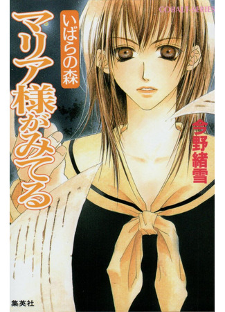 книга Дева Мария наблюдает за вами (The Virgin Mary is Watching: マリア様がみてる) 05.12.25