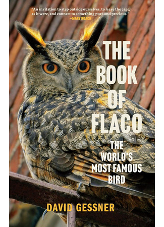 книга Филин Флако. История самой знаменитой птицы в мире (The Book of Flaco: The World's Most Famous Bird) 06.02.26